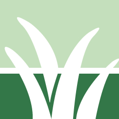 Buckthorn Control Pros