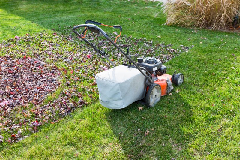 Fall Lawn Maintenance
