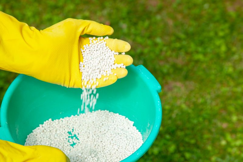 Lawn Fertilizing Service in Honolulu, HI