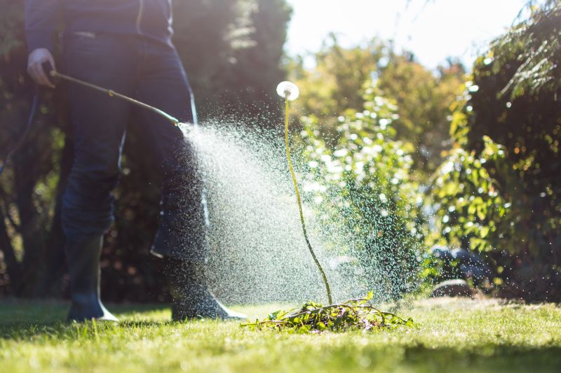 Lawn Weed Treatment in Ventura County, CA
