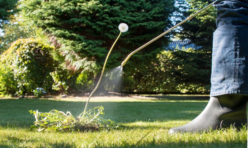 Lawn Weed Treatment in Honolulu, HI