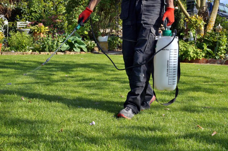Weed Prevention Service in Aiken, SC