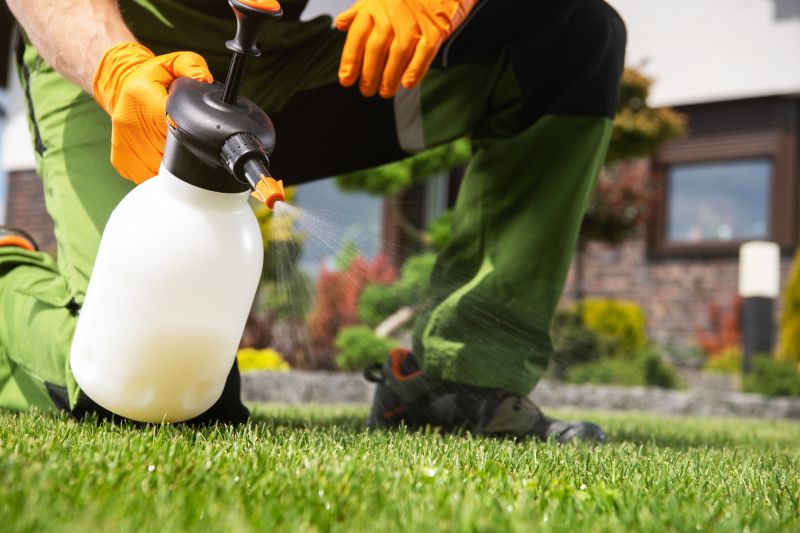 Weed Prevention Service in Rockwall, TX